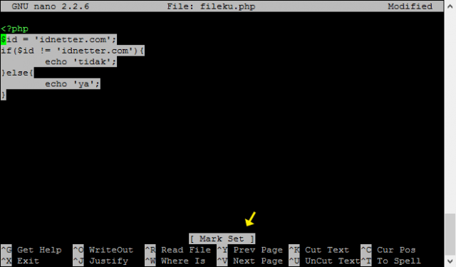 Cara menggunakan nano editor Linux