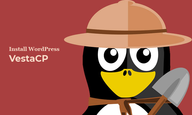 Cara install WordPress di VestaCP menggunakan WP-CLI